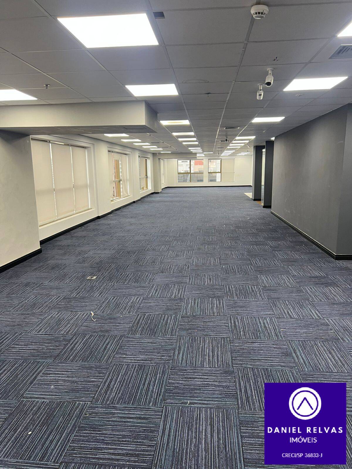 Sala-Conjunto, 242 m² - Foto 3